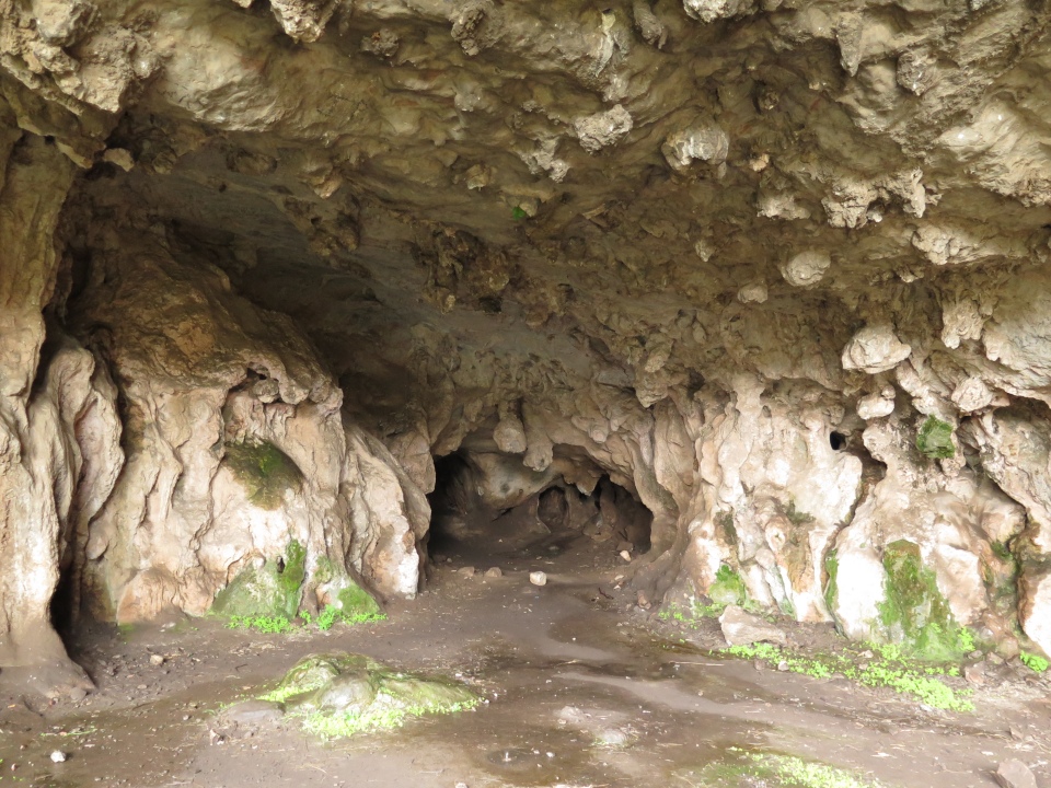 Borenore cave entrance